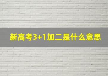 新高考3+1加二是什么意思