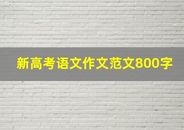 新高考语文作文范文800字