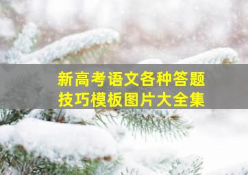 新高考语文各种答题技巧模板图片大全集