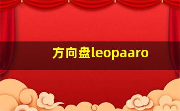 方向盘leopaaro