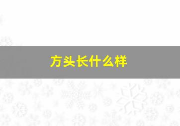 方头长什么样