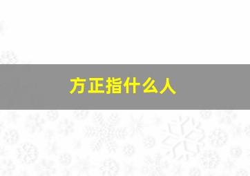 方正指什么人