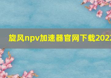 旋风npv加速器官网下载2022