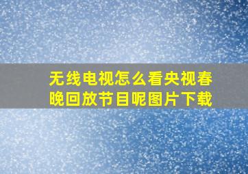 无线电视怎么看央视春晚回放节目呢图片下载