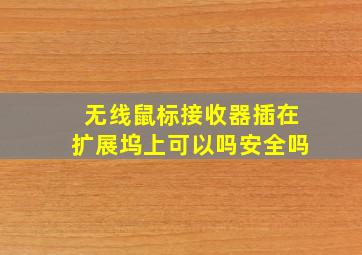 无线鼠标接收器插在扩展坞上可以吗安全吗