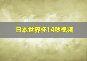 日本世界杯14秒视频