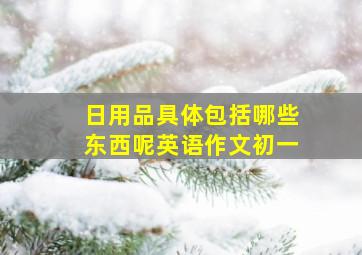 日用品具体包括哪些东西呢英语作文初一