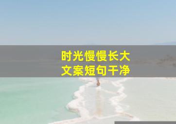 时光慢慢长大文案短句干净