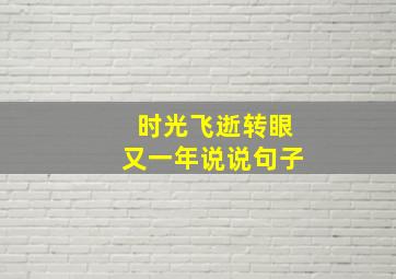 时光飞逝转眼又一年说说句子