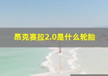 昂克赛拉2.0是什么轮胎