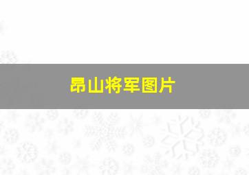 昂山将军图片