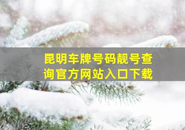 昆明车牌号码靓号查询官方网站入口下载