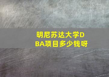 明尼苏达大学DBA项目多少钱呀