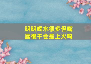 明明喝水很多但嘴唇很干会是上火吗