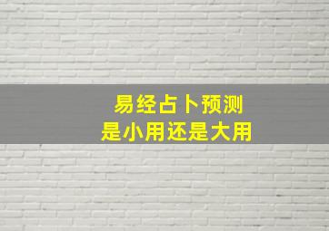 易经占卜预测是小用还是大用