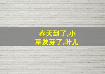 春天到了,小草发芽了,叶儿