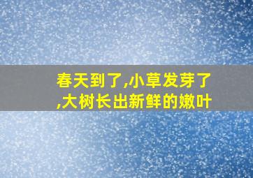 春天到了,小草发芽了,大树长出新鲜的嫩叶