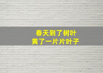 春天到了树叶黄了一片片叶子