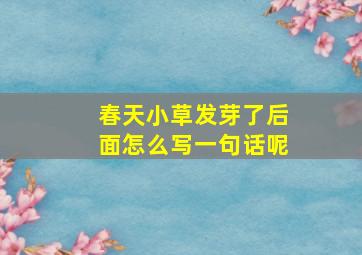 春天小草发芽了后面怎么写一句话呢