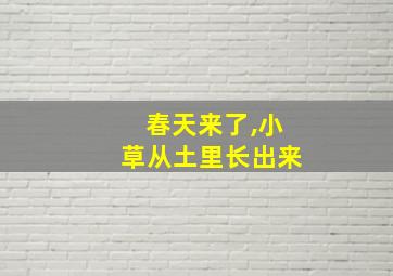 春天来了,小草从土里长出来