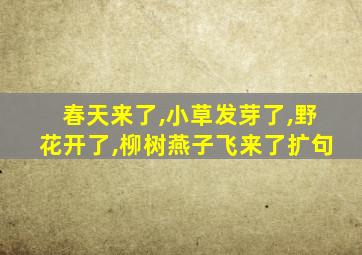 春天来了,小草发芽了,野花开了,柳树燕子飞来了扩句