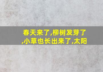 春天来了,柳树发芽了,小草也长出来了,太阳