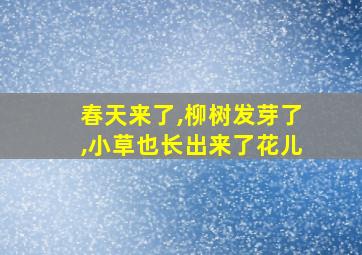 春天来了,柳树发芽了,小草也长出来了花儿