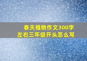 春天植物作文300字左右三年级开头怎么写