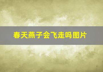 春天燕子会飞走吗图片