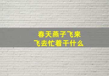 春天燕子飞来飞去忙着干什么