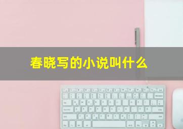 春晓写的小说叫什么