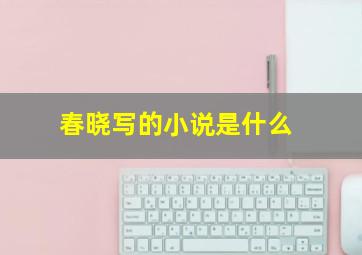 春晓写的小说是什么