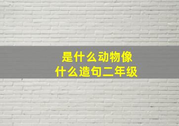 是什么动物像什么造句二年级