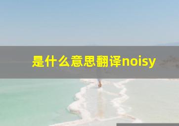 是什么意思翻译noisy