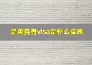 是否持有visa是什么意思