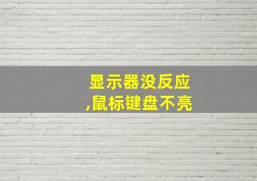 显示器没反应,鼠标键盘不亮