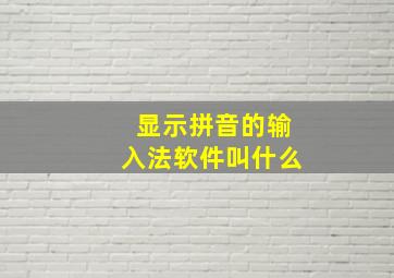 显示拼音的输入法软件叫什么