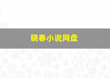 晓春小说网盘