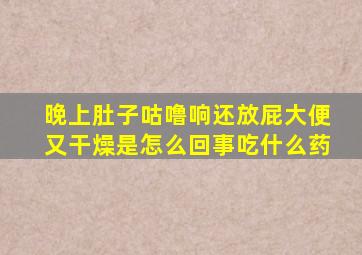 晚上肚子咕噜响还放屁大便又干燥是怎么回事吃什么药