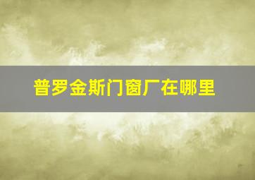 普罗金斯门窗厂在哪里