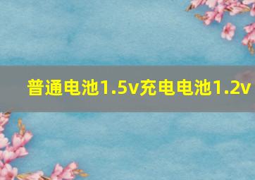 普通电池1.5v充电电池1.2v