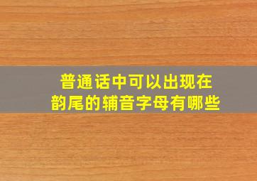 普通话中可以出现在韵尾的辅音字母有哪些