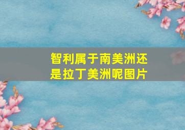 智利属于南美洲还是拉丁美洲呢图片