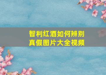 智利红酒如何辨别真假图片大全视频