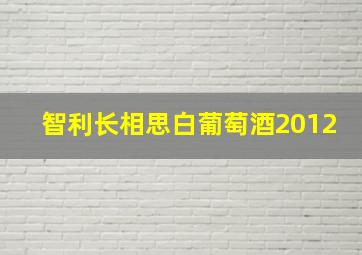 智利长相思白葡萄酒2012