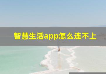 智慧生活app怎么连不上