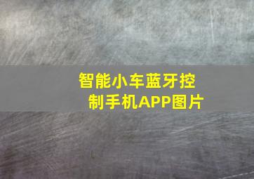 智能小车蓝牙控制手机APP图片