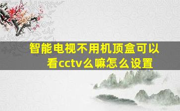 智能电视不用机顶盒可以看cctv么嘛怎么设置