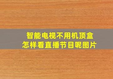 智能电视不用机顶盒怎样看直播节目呢图片