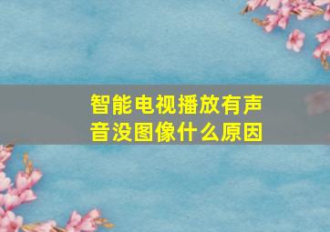 智能电视播放有声音没图像什么原因